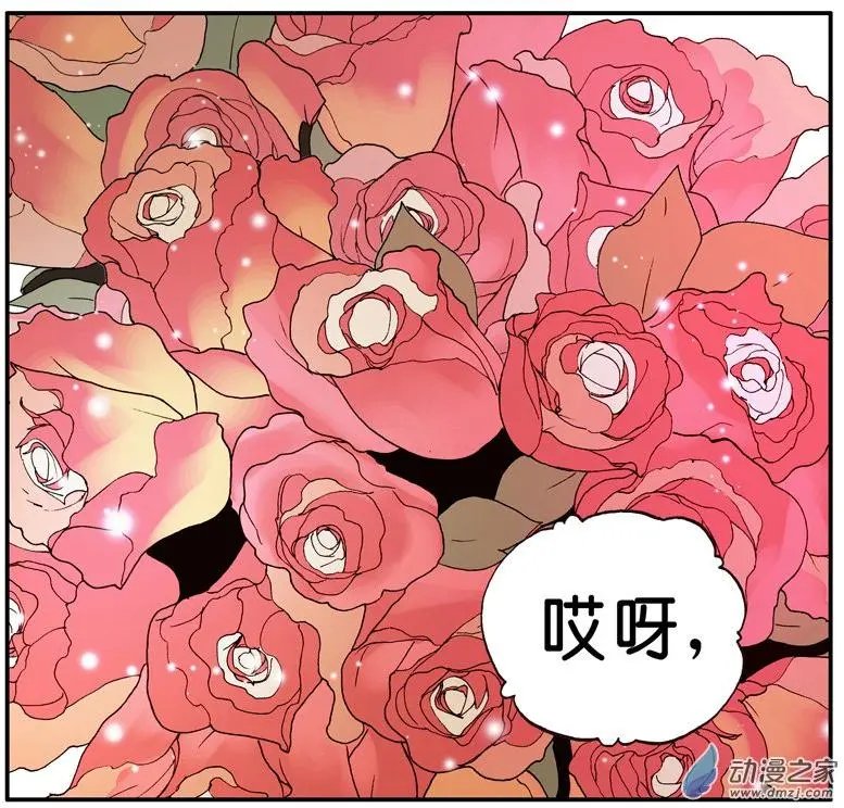 第009回 红玫瑰