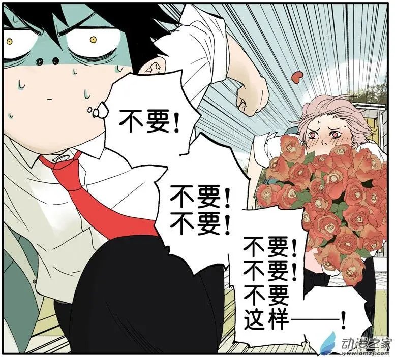 第009回 红玫瑰