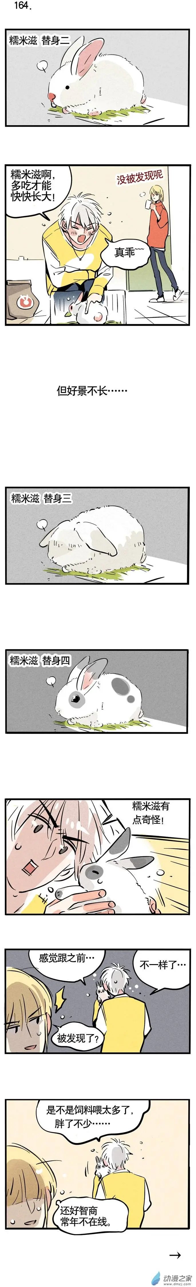 第164回