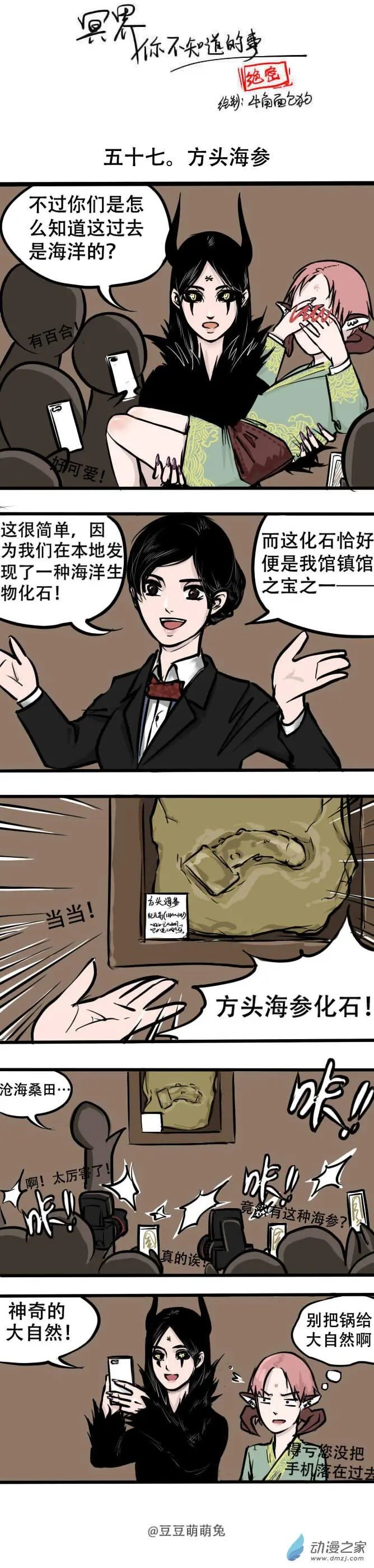 第57回 方头海参