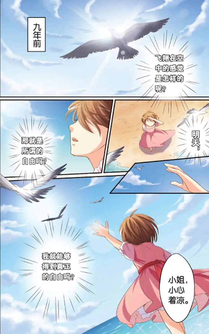 第11回