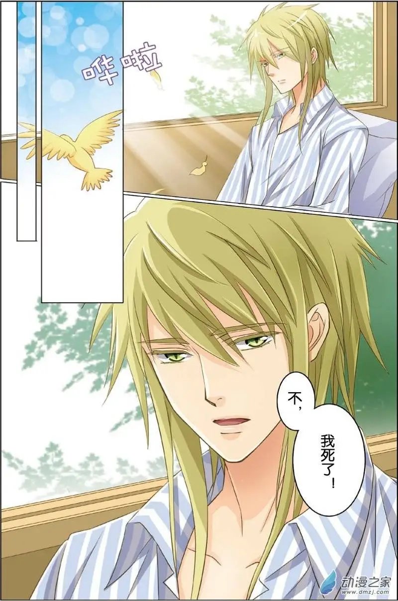 第22回 伤痛