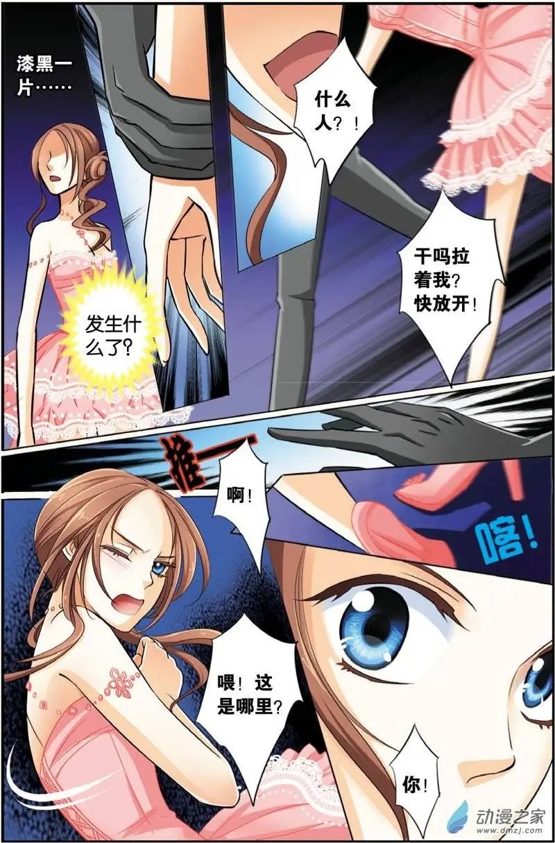 第27回 猫派复活