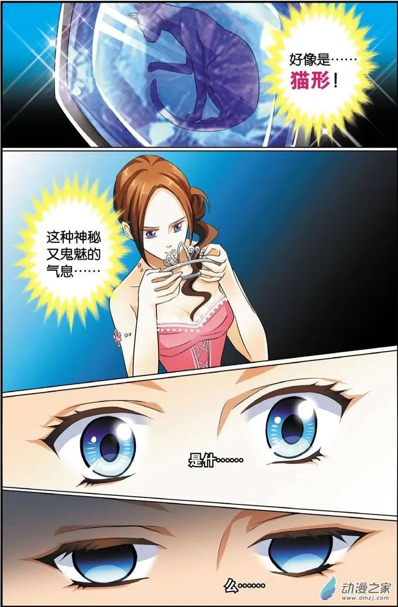 第27回 猫派复活
