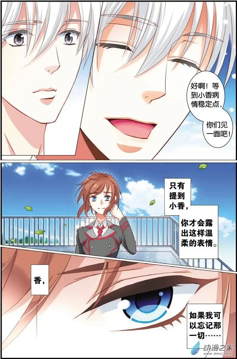 第29回 遗失的恋情