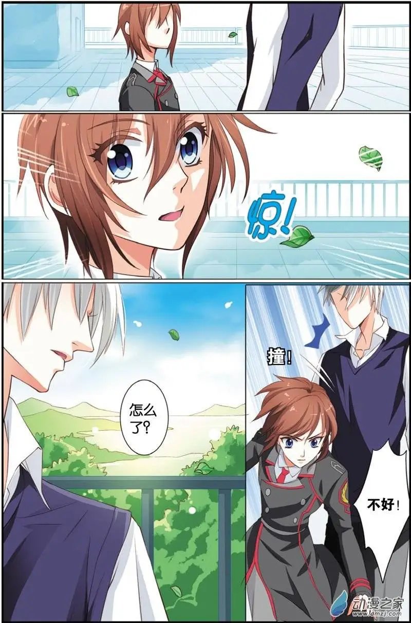 第29回 遗失的恋情