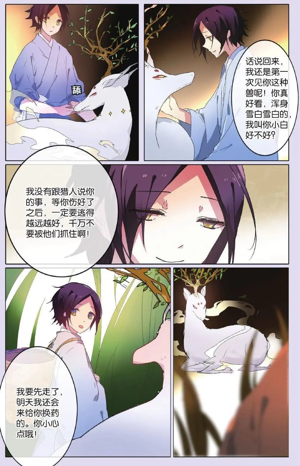 第20回 白的过去