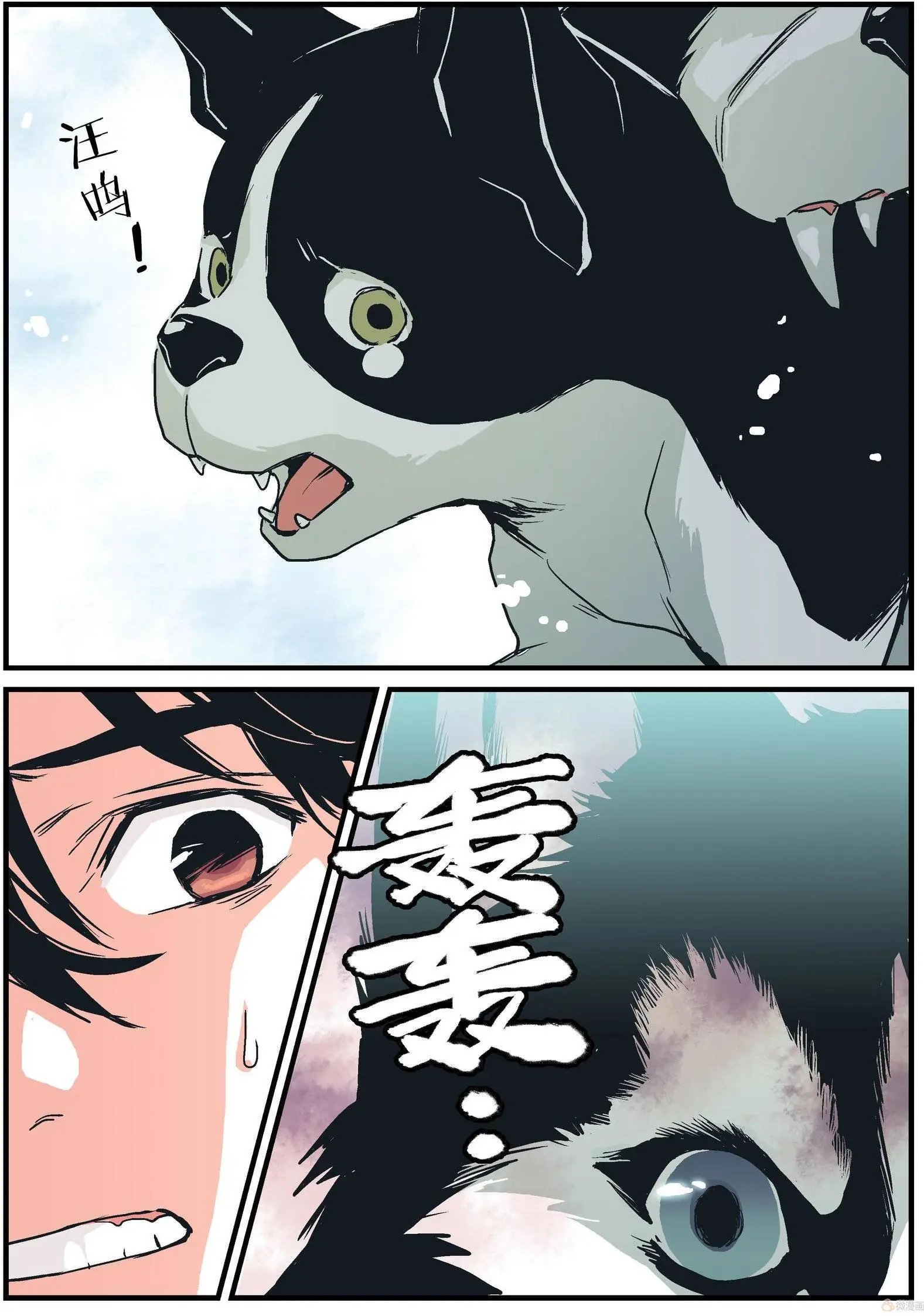 第10回
