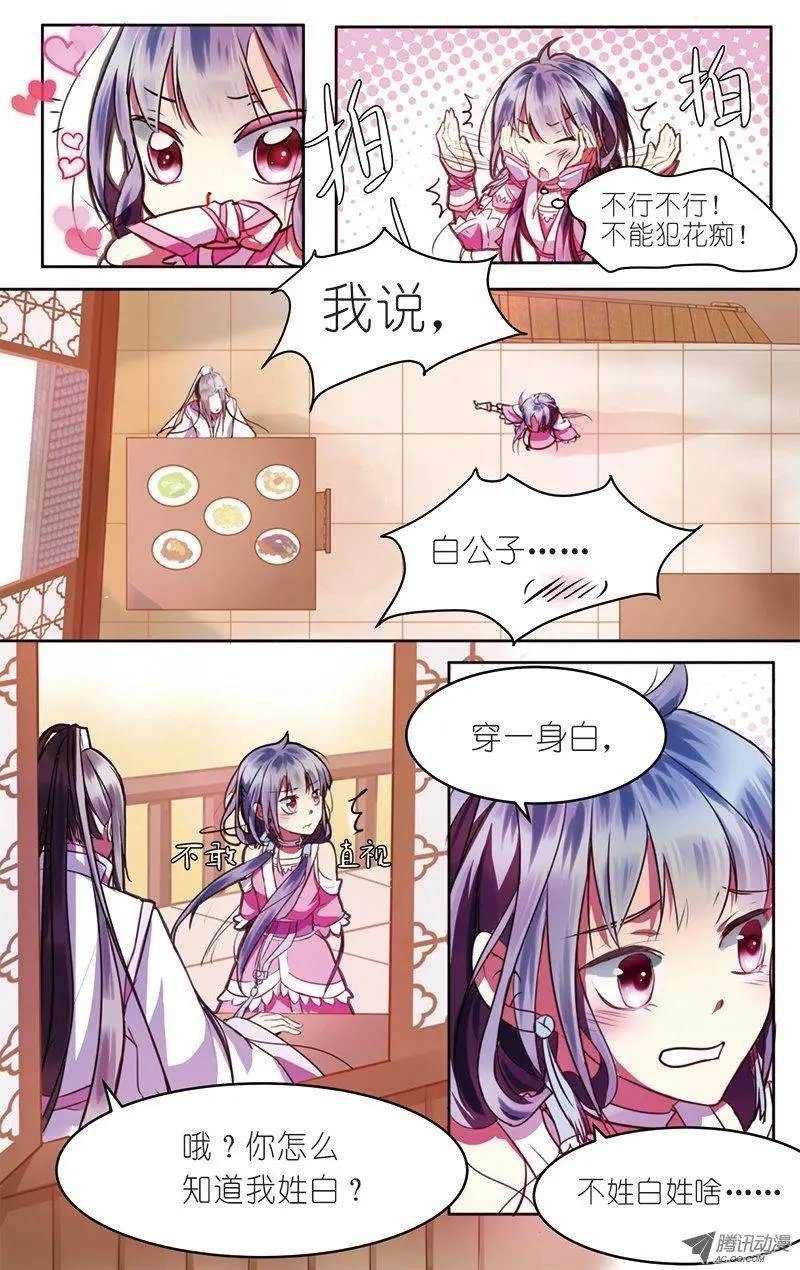第1话 初遇小白