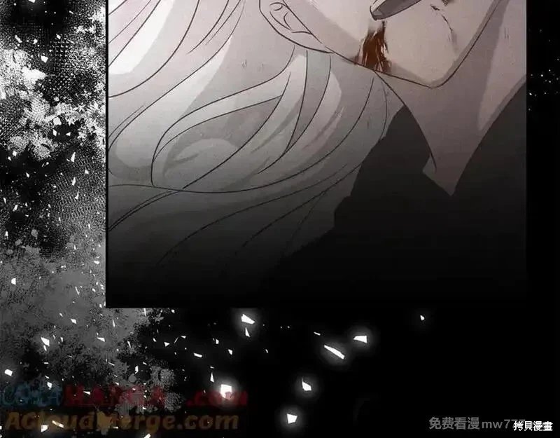 第217话