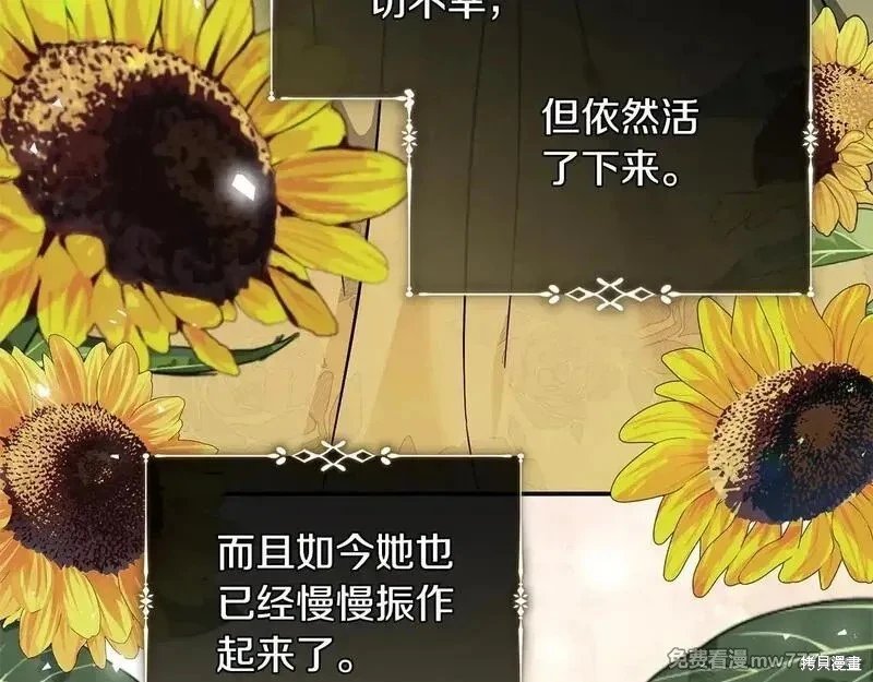 第221话