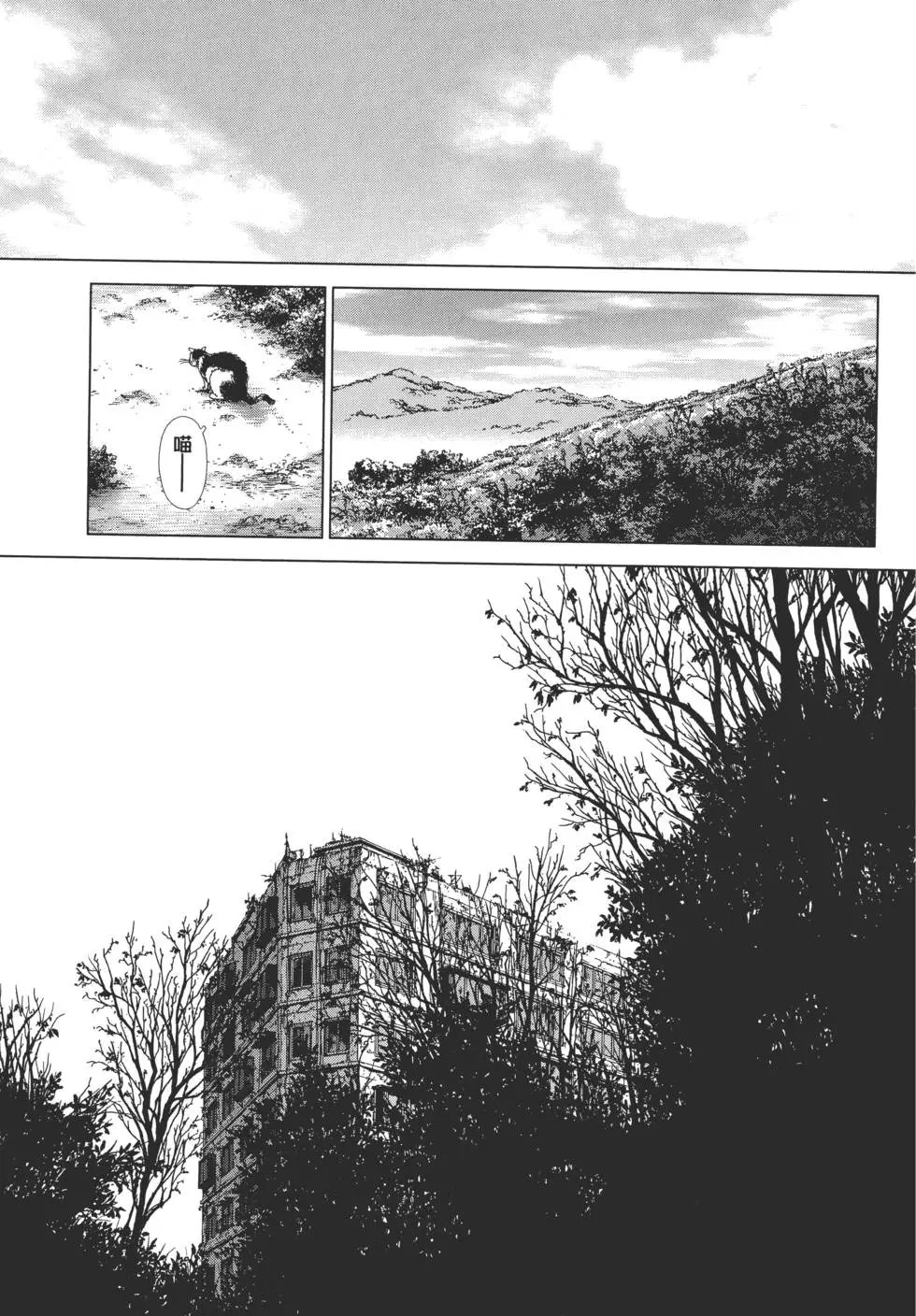 第13卷
