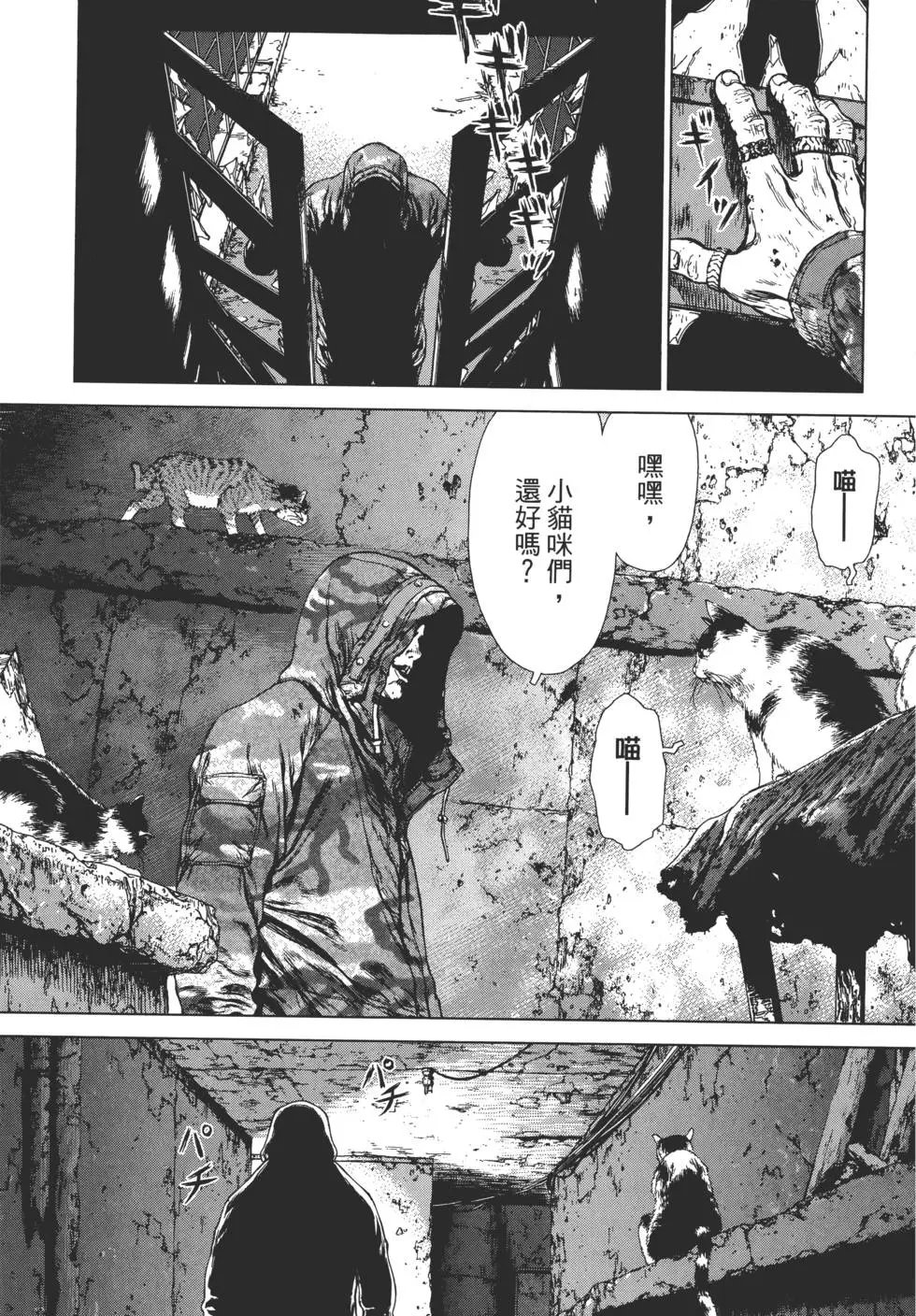 第13卷