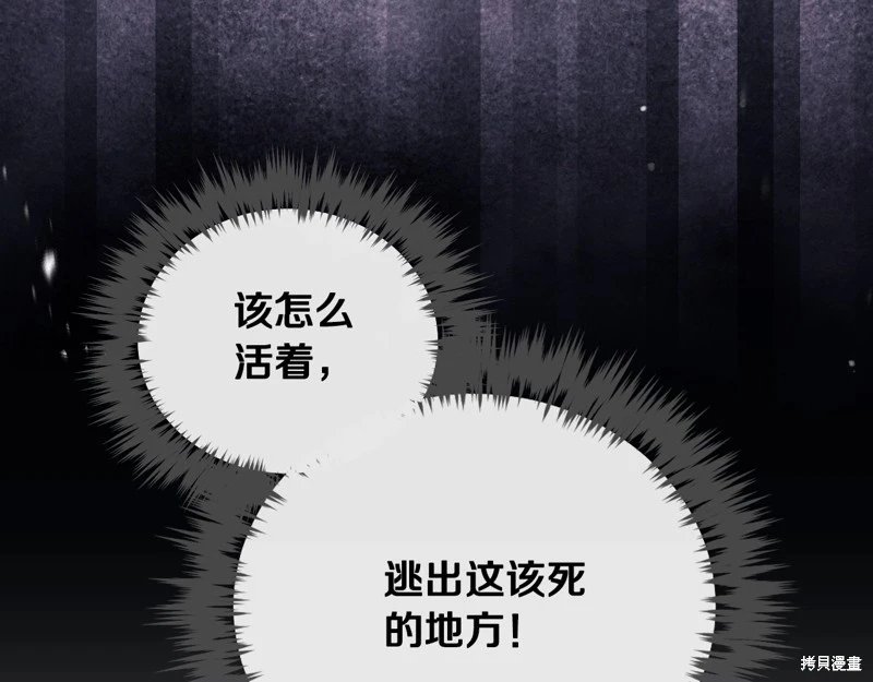 第四季21话