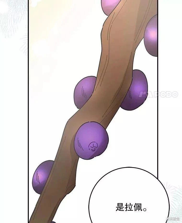 外传3