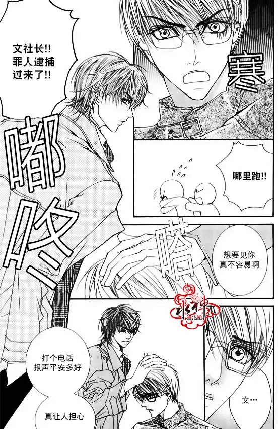 第41回
