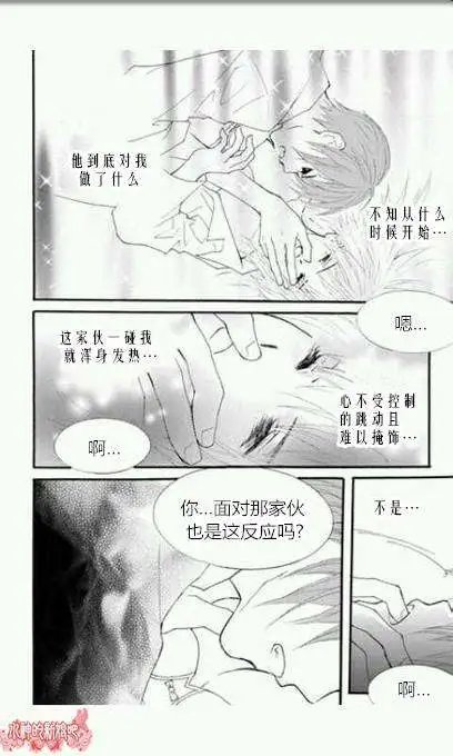 第31回
