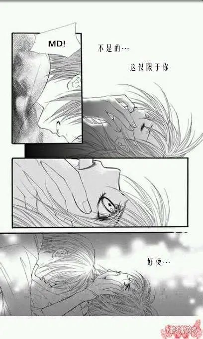第31回