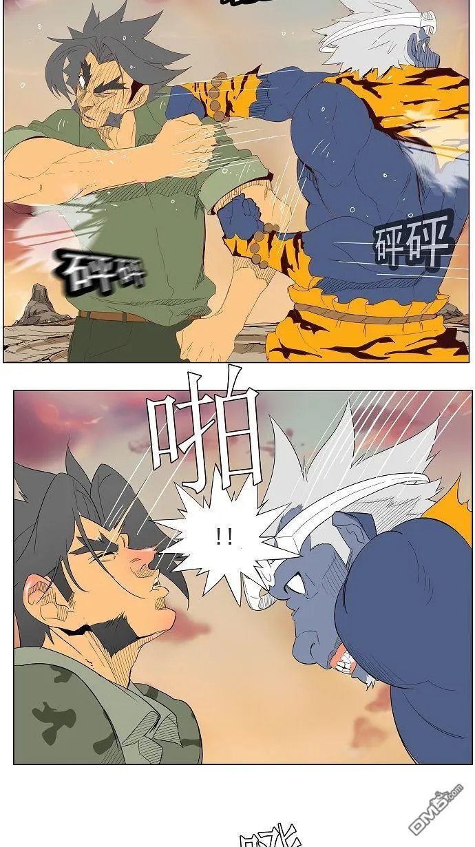 第117话