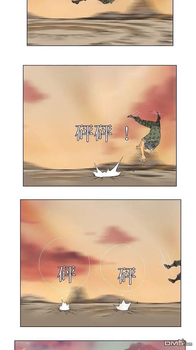第117话