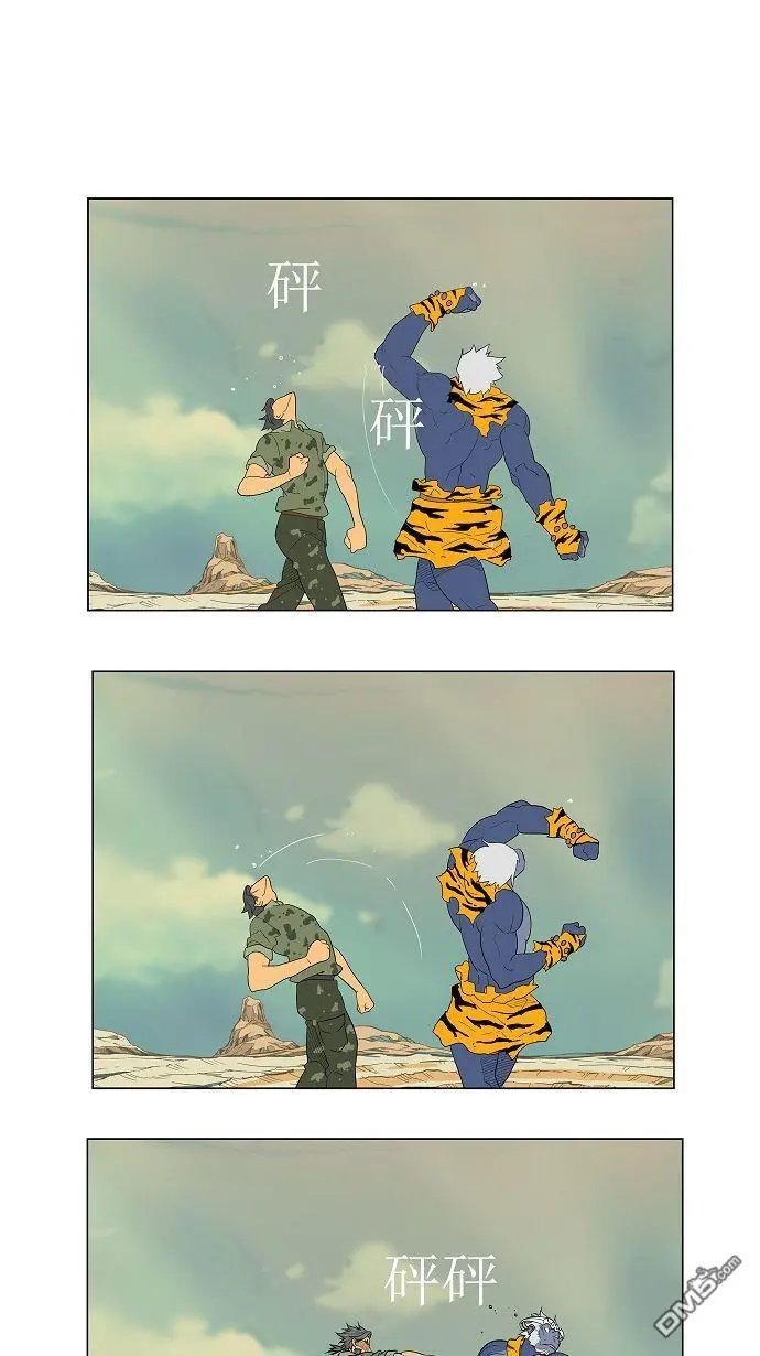 第117话