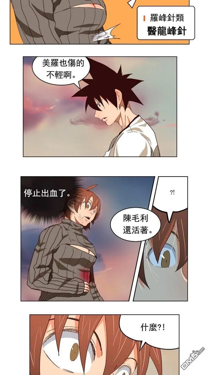第204话