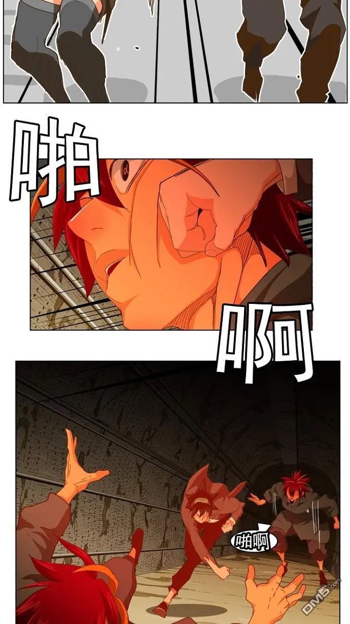 第242话
