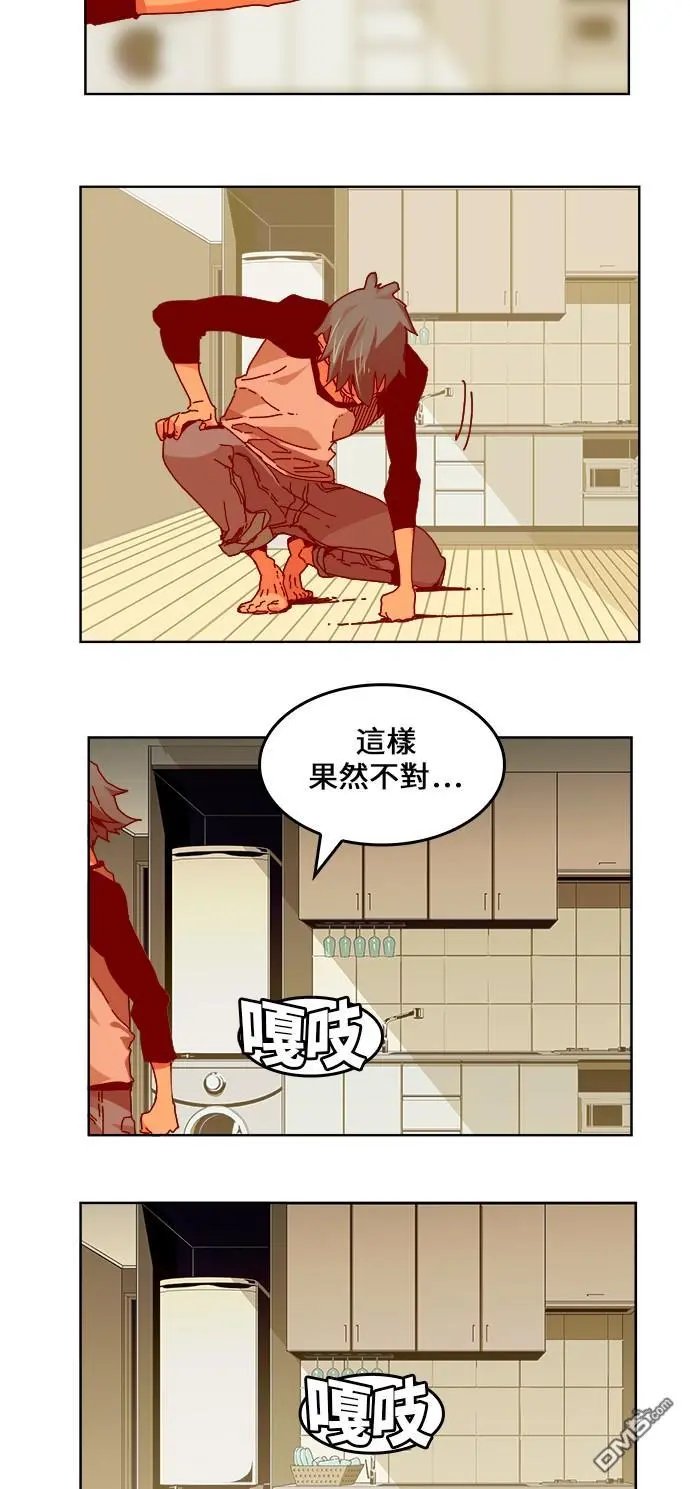 第336话