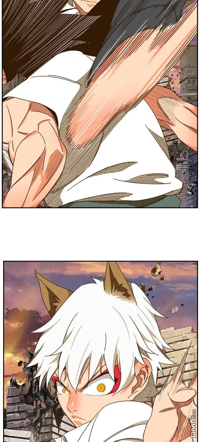 第421话