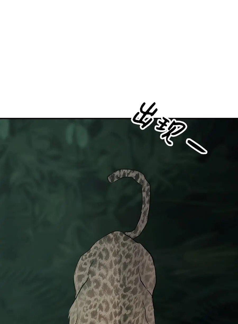 第35话 猫咪