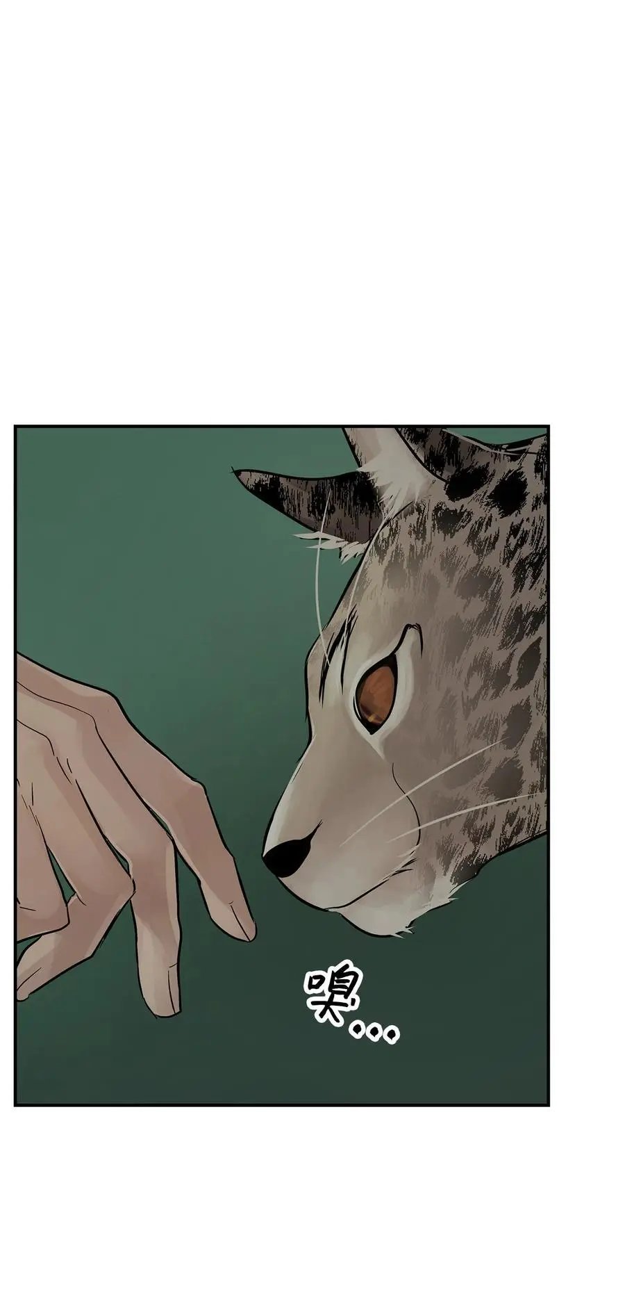 第35话 猫咪
