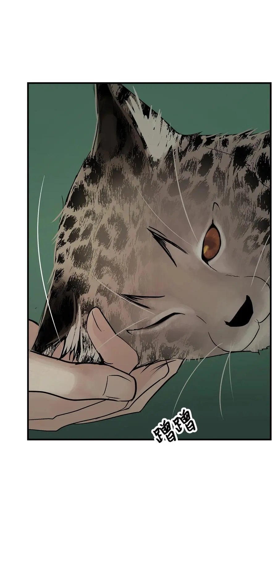 第35话 猫咪
