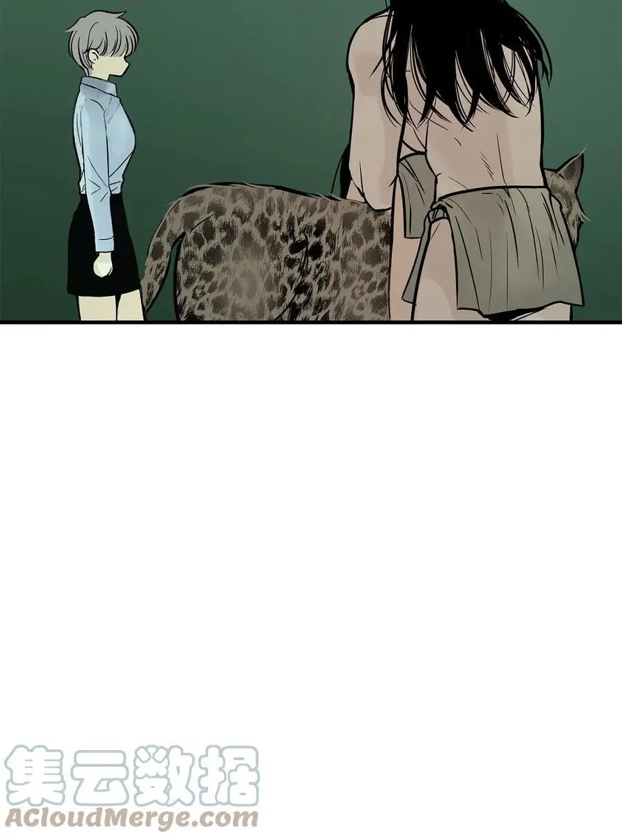 第35话 猫咪