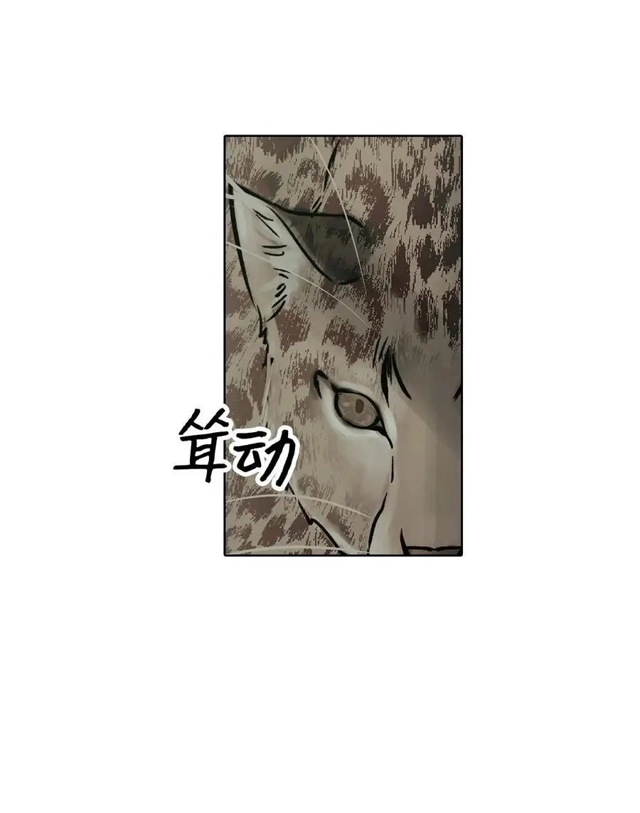 第35话 猫咪