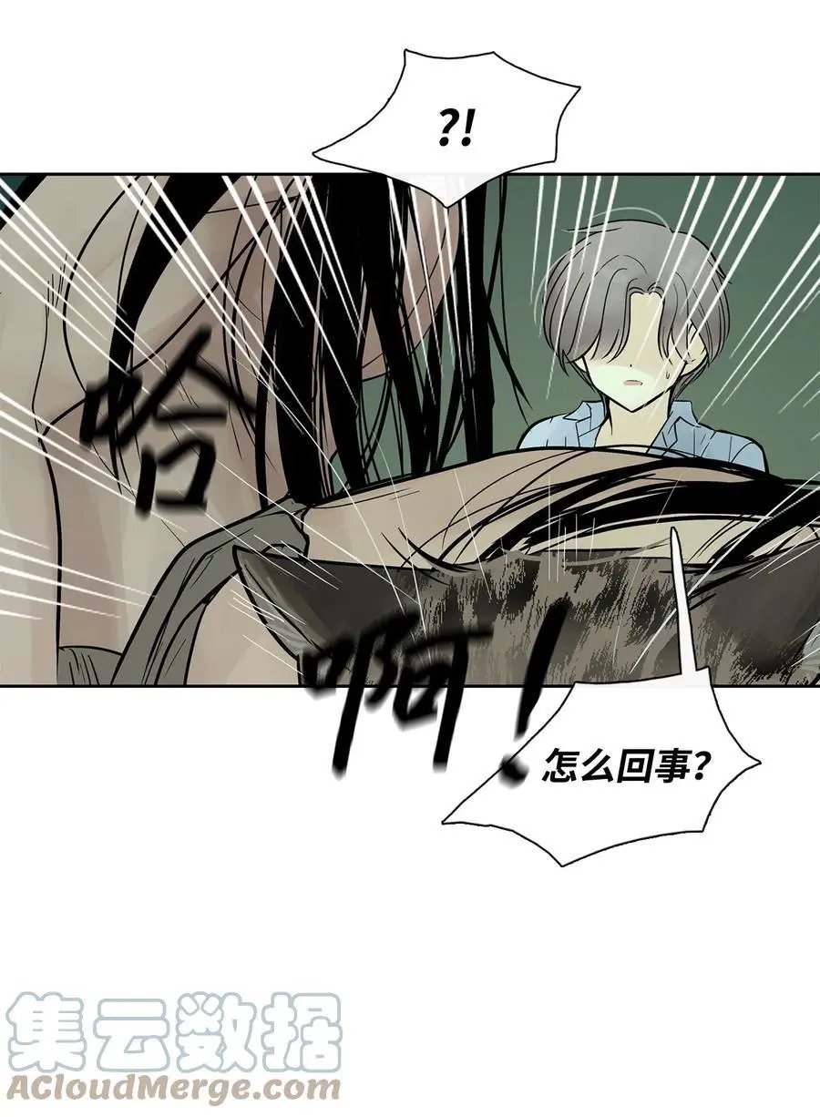 第35话 猫咪