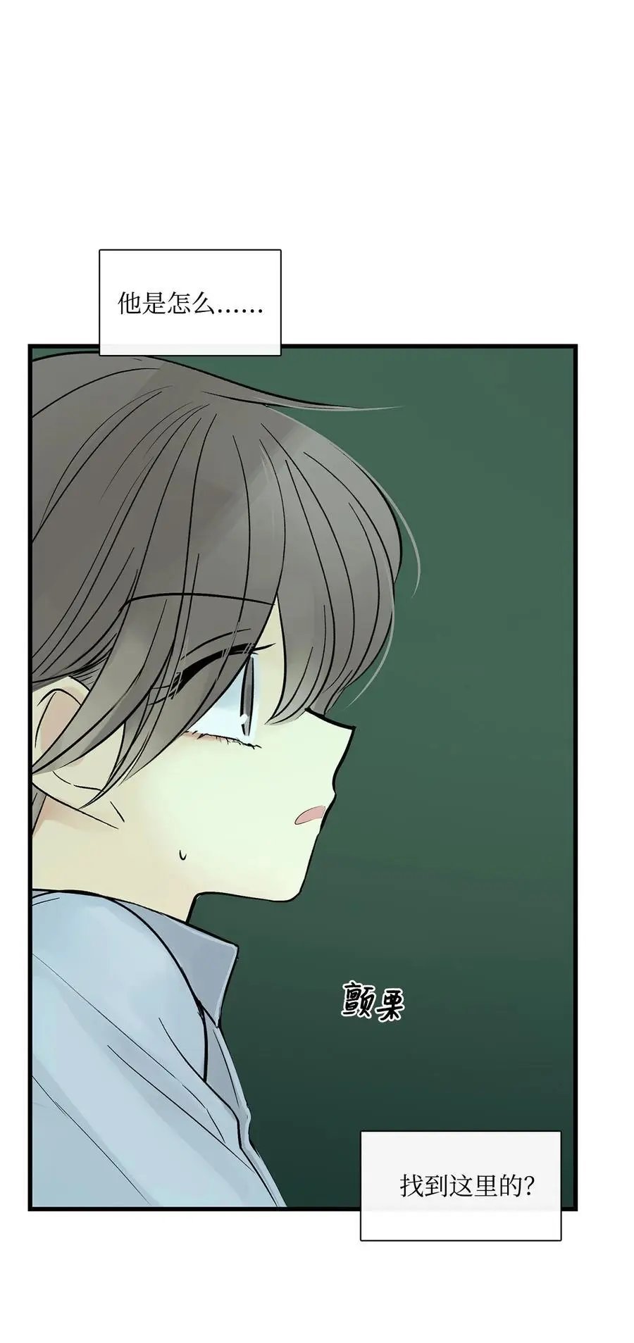 第35话 猫咪