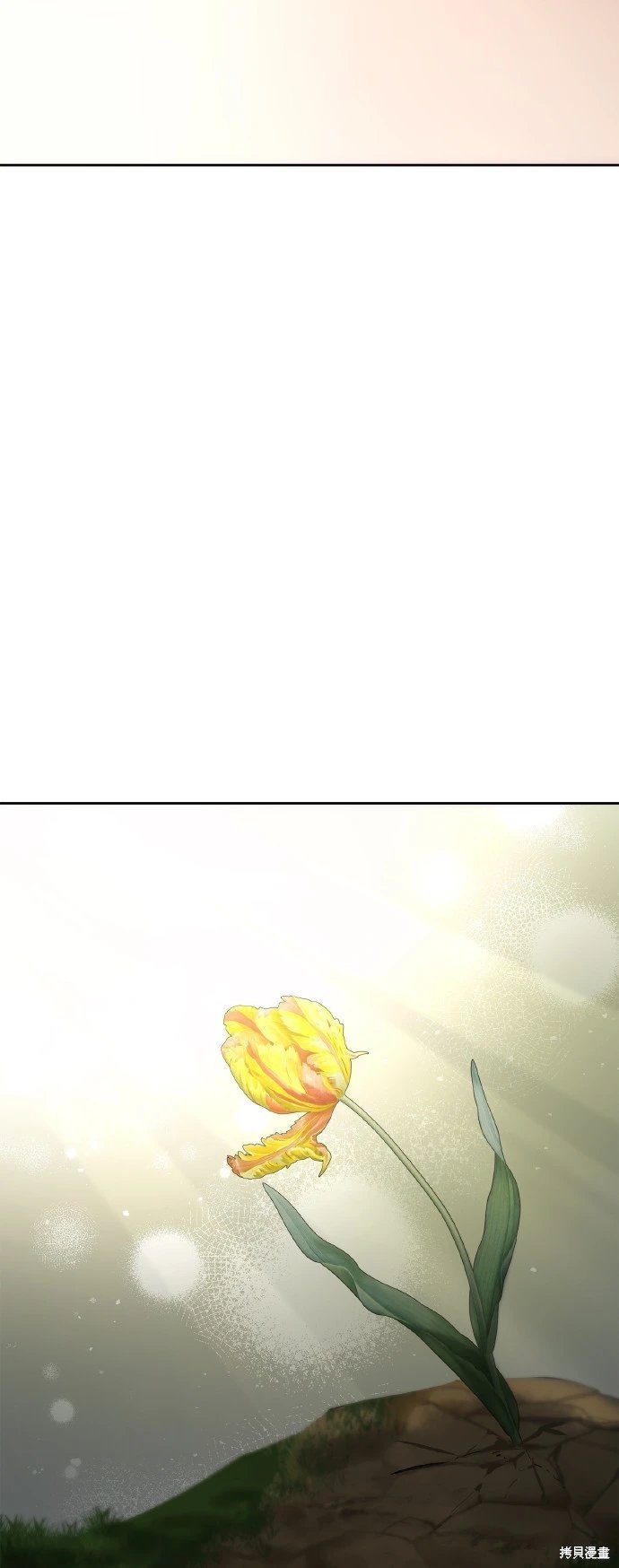 第114话