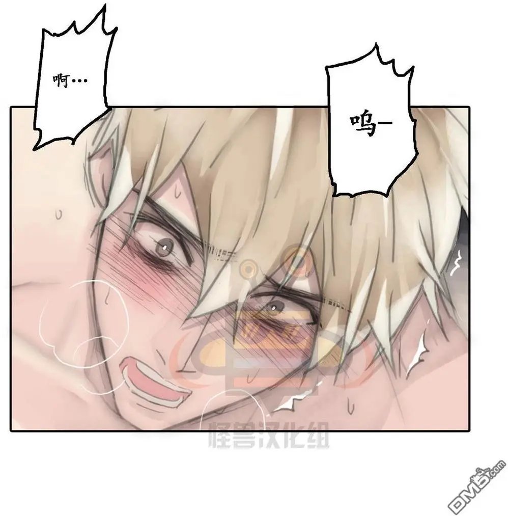 第41回