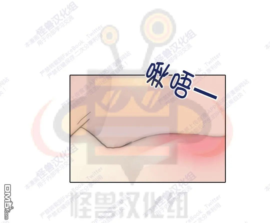 第41回