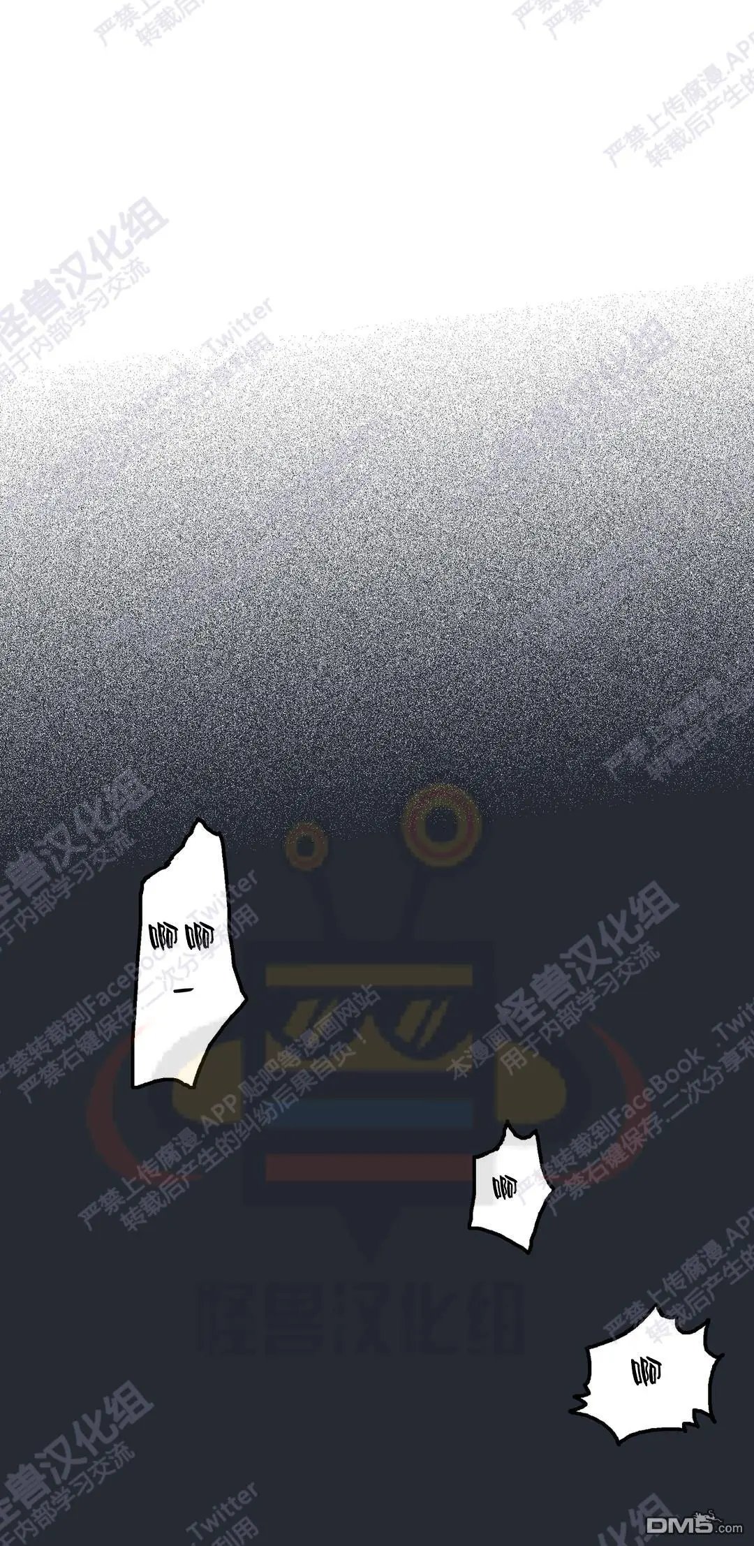 第41回
