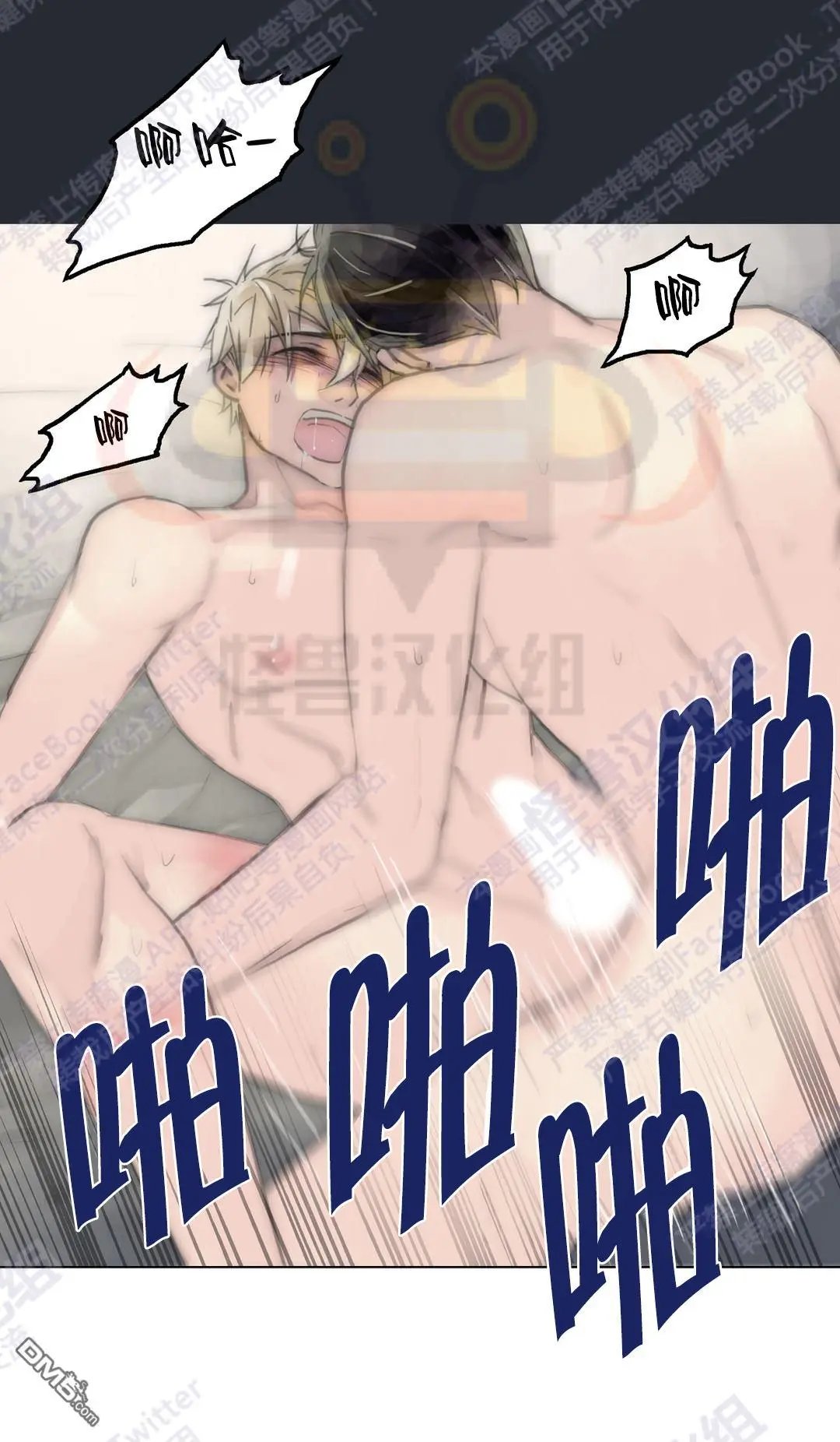 第41回