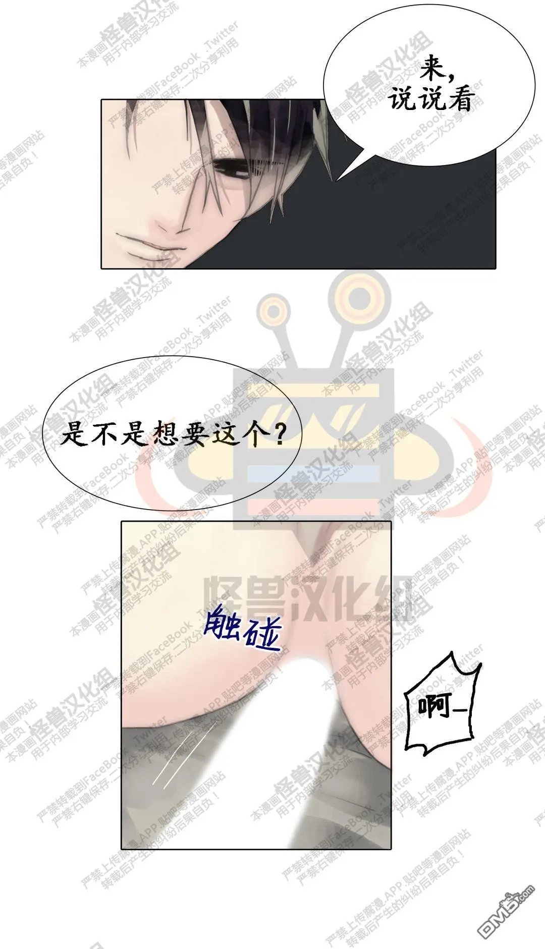 第41回