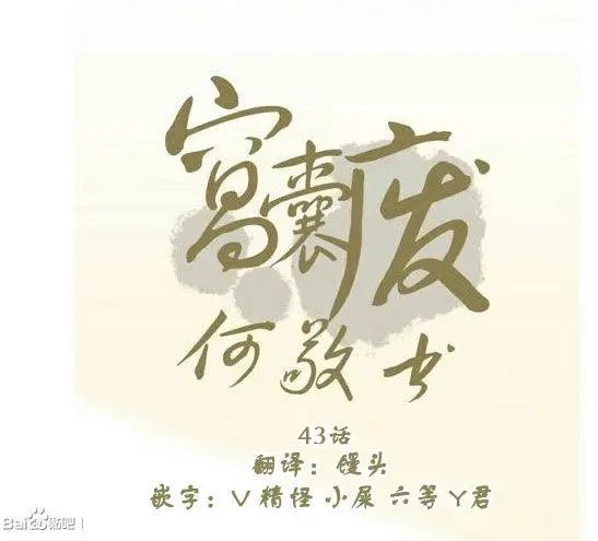 第43回