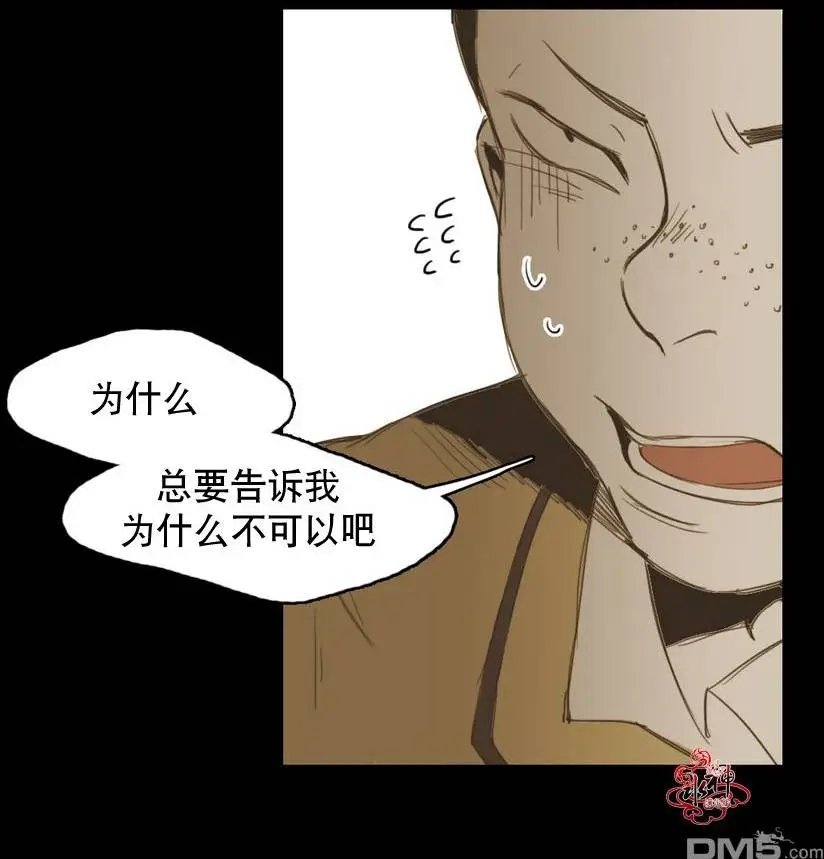 第13回