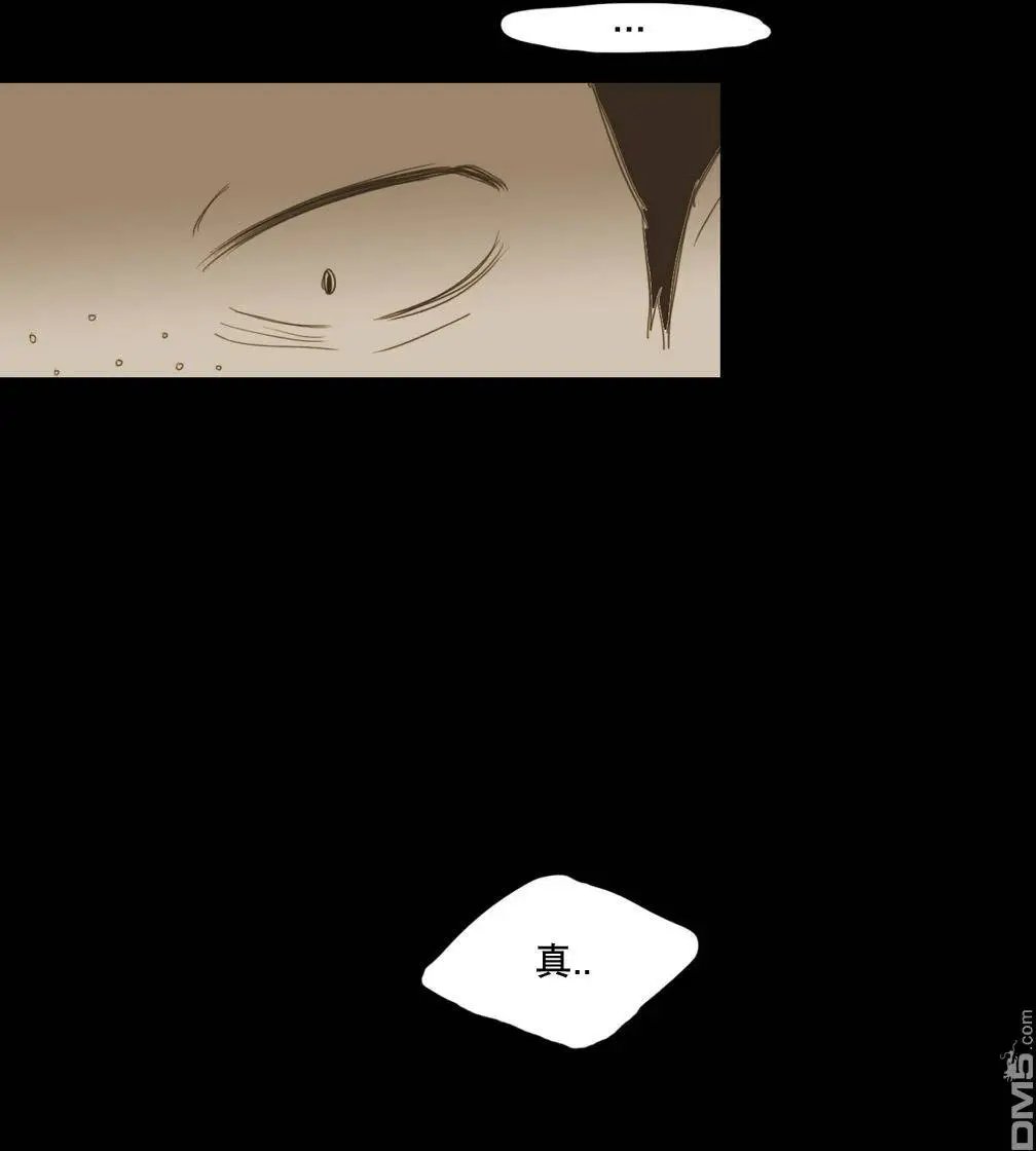 第13回