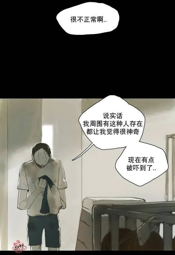 第29回