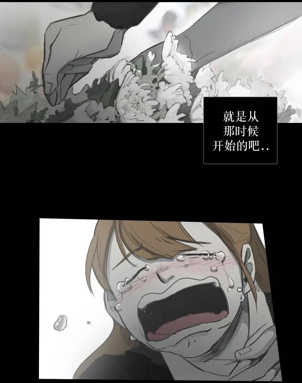 第33回