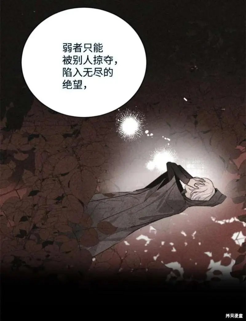 第117话