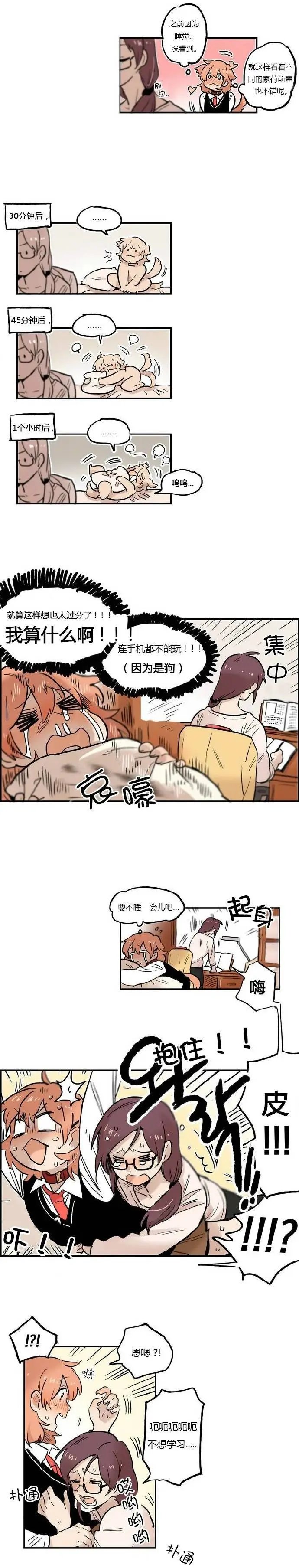 第12回