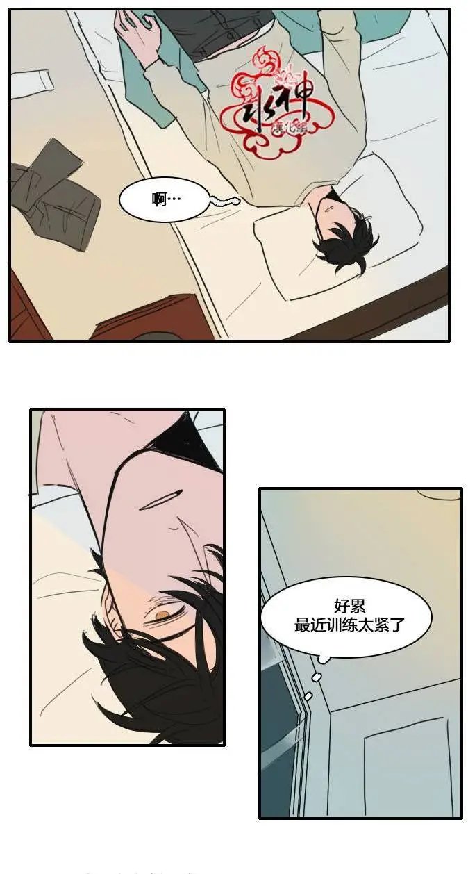 第13回